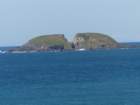 p1100928_small.jpg