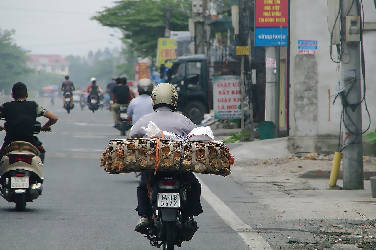 bikedelivery2.jpg