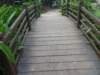 p1030987_small.jpg