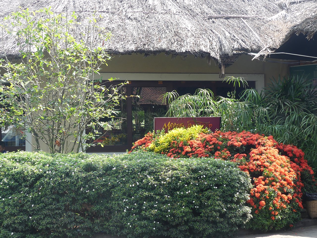 p1040021.jpg